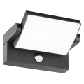 Ideal Lux - LED Aplique para exterior con sensor SWIPE LED/21W/230V CRI 90 IP54 antracita